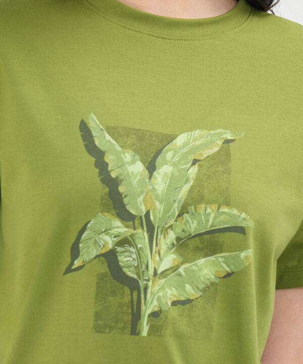 Camiseta Estampado Botánico image number null