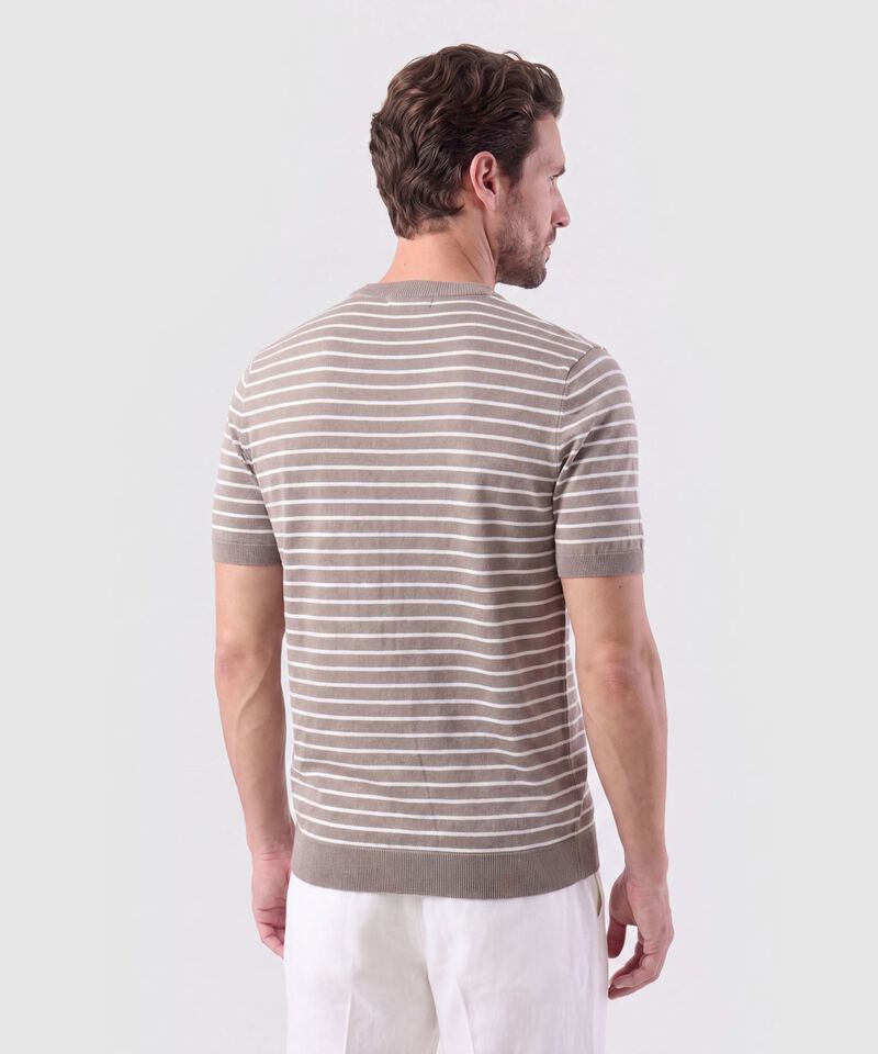 Camiseta Tejida Cuello Redondo Hombre