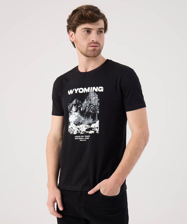 Camisetas estampadas